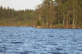 /album/kuvagalleria-aluetietoa/kesa1-s-jpg1/