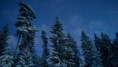 /album/kuvagalleria-aluetietoa/talvi3-s-jpg1/
